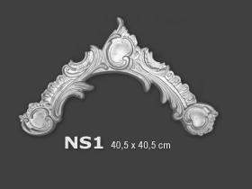 NS1