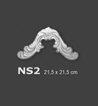 NS2